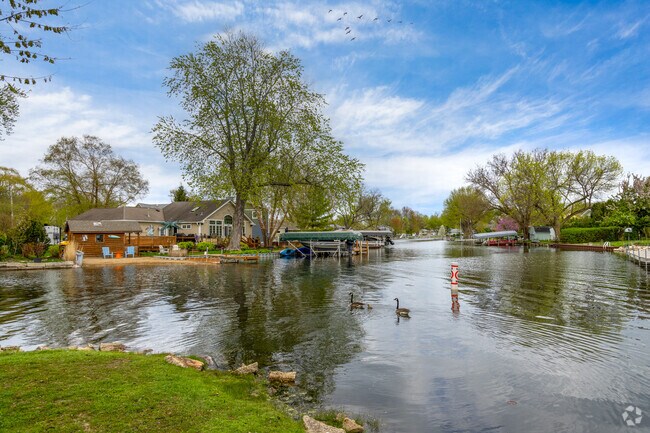 Birds fly overhead and a family of ducks paddles by at scenic Cove Park in Gages Lake.