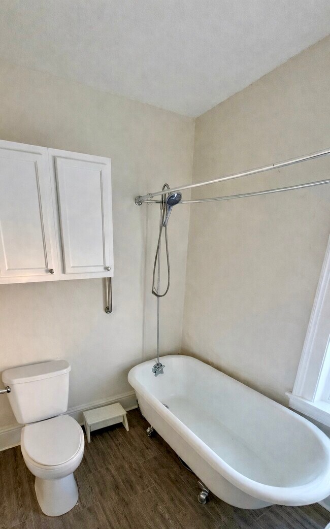 52 Genesee St unit Apartment 3, Geneva, NY 14456 - photo 6