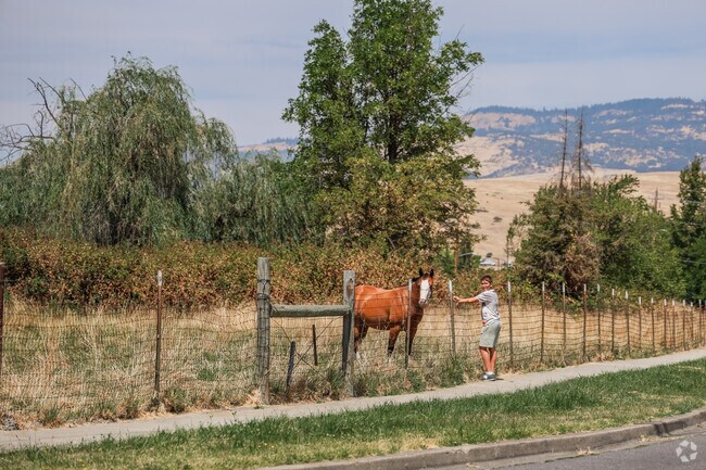 Wildlife is alive and well in Cottage District.