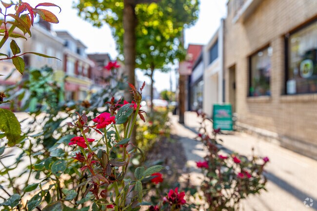 Take some time to discover Mount Oliver Borough.