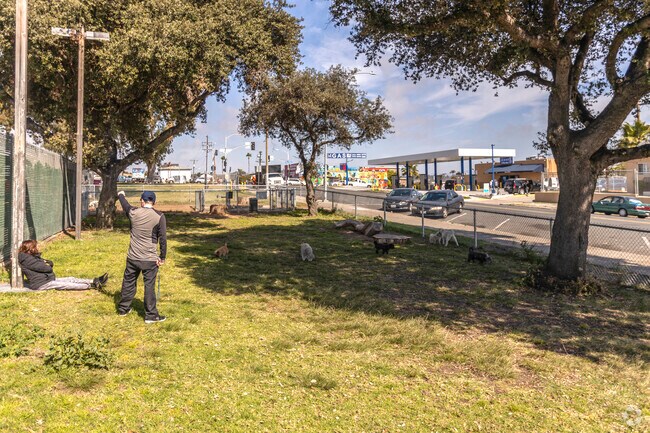 The Dog Park at Memorial Park in Logan Heights.