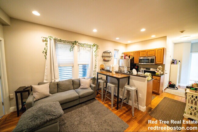 3 Alleghany St unit 2, Roxbury Crossing, MA 02120 - photo 2