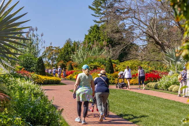 Take a stroll through the flower gardens at Longwood Gardens in Kennett Square.