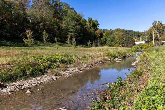 Come and see what you are missing in Hampton.