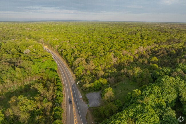 A large portion of Ridge is shrouded in forest.