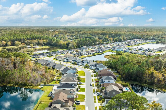 Sunbeam unfolds a vibrant tapestry of connections.