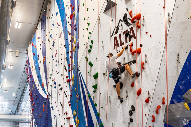 Alta Climbing is a premiere indoor rock climbing facility near Higley neighborhood.