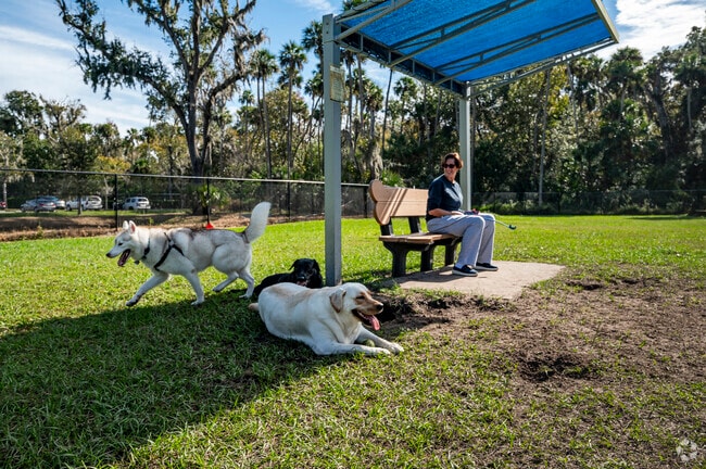 YMCA Dog Park provides open space and agility features for Lakevue dogs in Ormond Beach.