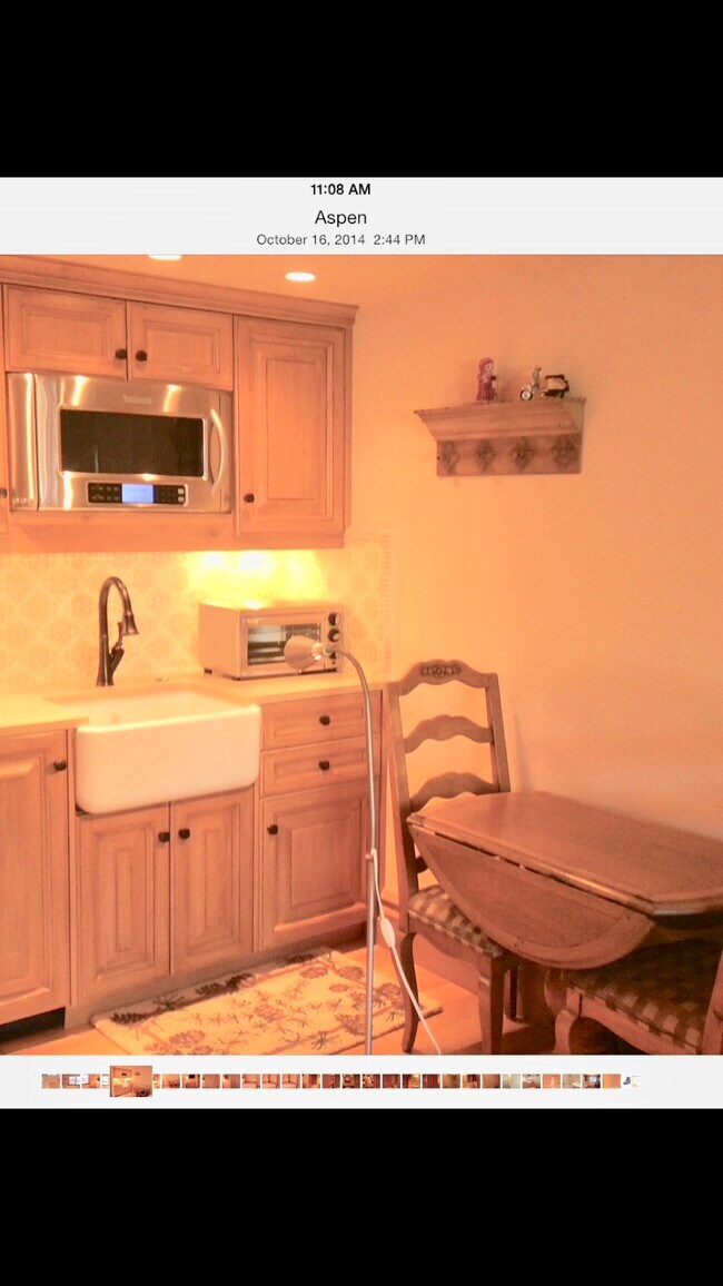 119 E Cooper Ave unit 4, Aspen, CO 81611 - photo 4