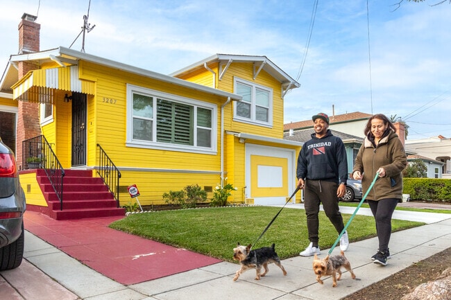 Friendly neighbors are walking with their furry friends in Millsmont.