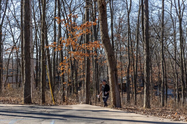 Locals come to Kiwanis Park to relax and enjoy the scenery in this thickly forested park surrounded by homes.