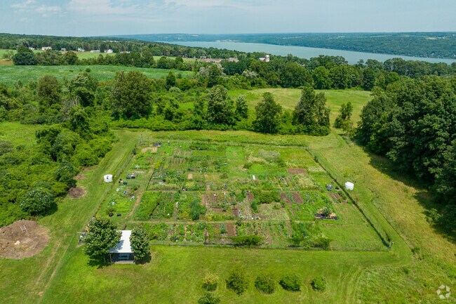 The West Hill Community Garden in Northwest Ithaca provides residents with plots to grow plants.