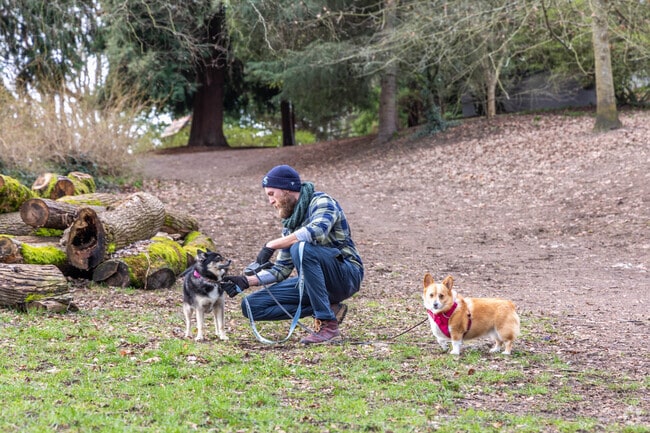 David Rodgers Park in North Queen Anne is a favorite for dog walking.