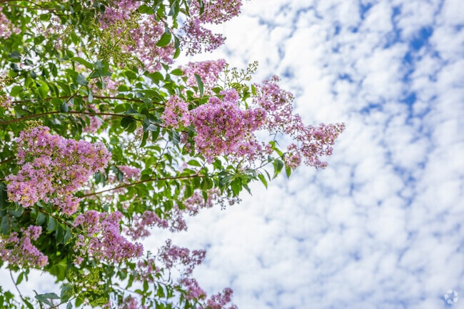 Enjoy the fresh smell of flowers in Bartram Springs.
