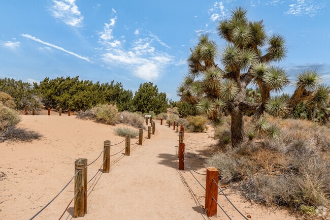 Locals can take a nature walk through the Prime Desert Woodland Preserve in West Lancaster.