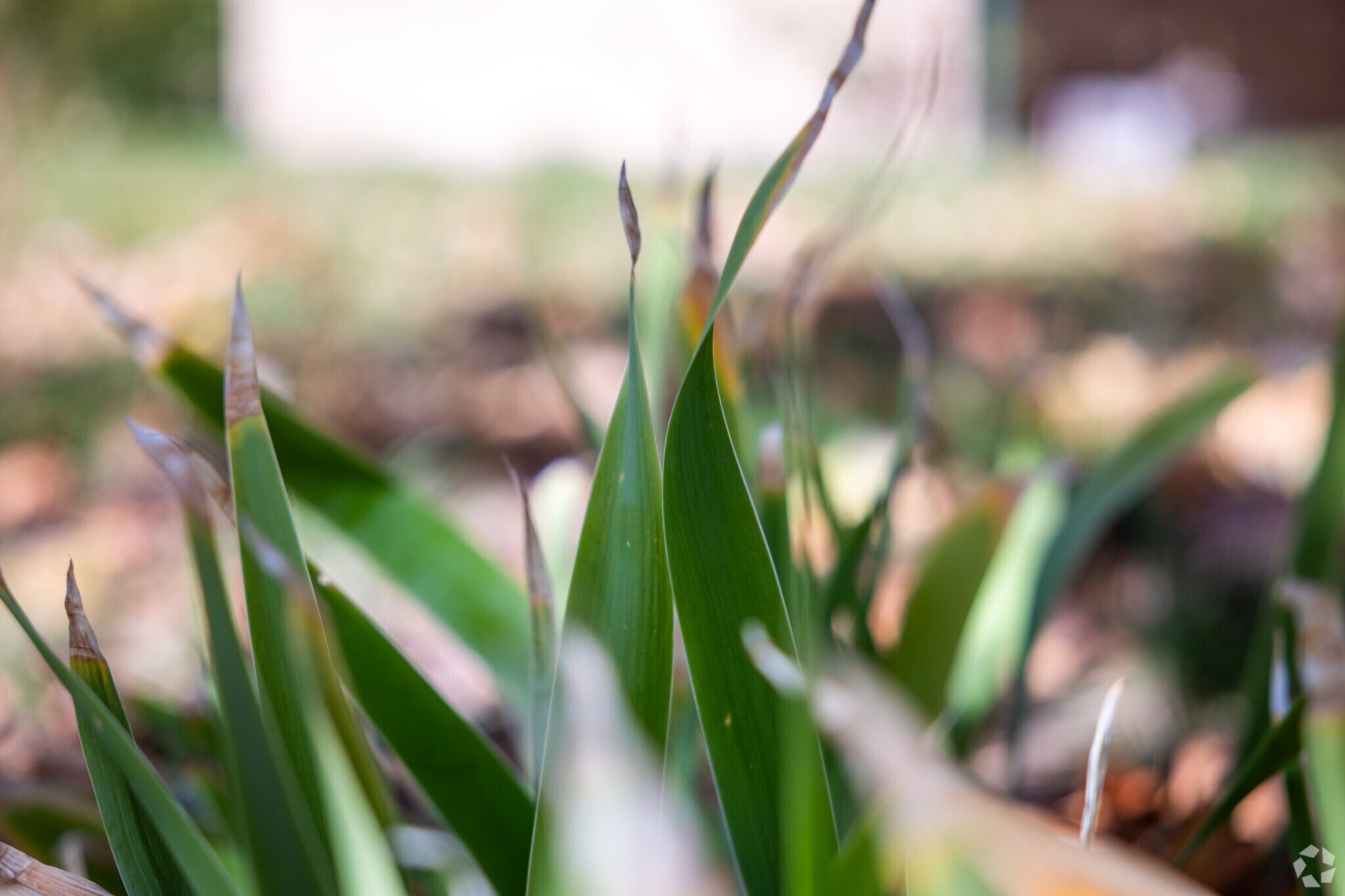 East Mt Vernon is a neighborhood full of natural beauty.