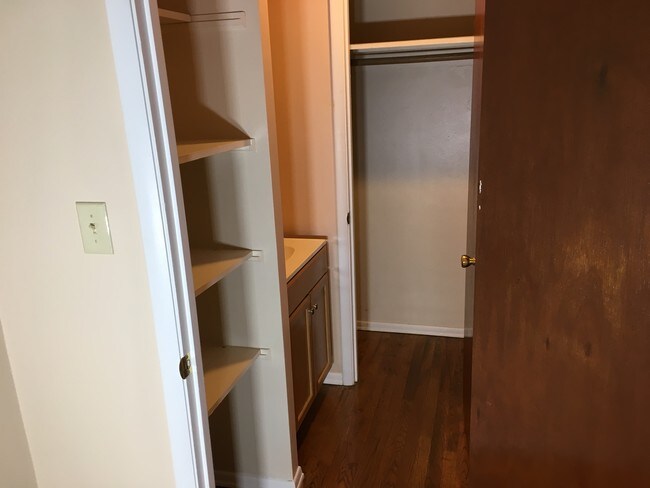 Walk in closet with vanity sink