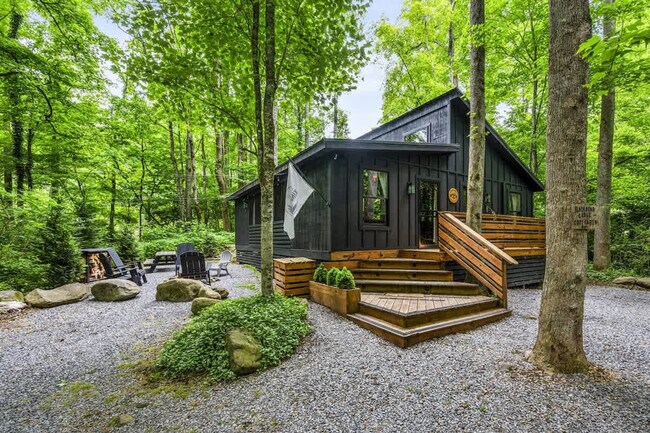 4949 Ledford Rd unit ID1051743P, Cosby, TN 37722 - photo 2