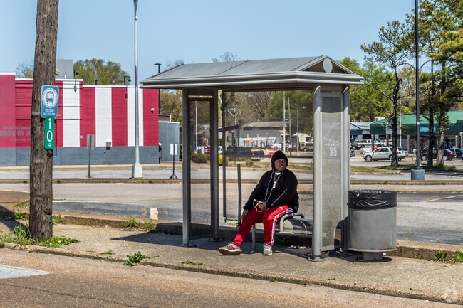 You can catch a bus from any major road in Orange Mound.
