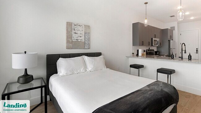 650 E Sycamore St unit 3315, Denton, TX 76201 - photo 6