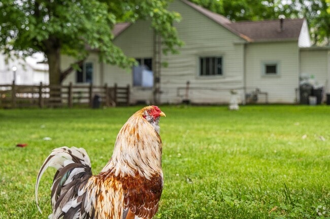 Cowan offers a slower pace of life than the bustle of nearby Muncie.