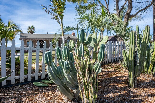 You'll often find cacti in front of homes in La Sierra Acres.