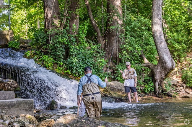 Fishermen in North Branson try their luck on Lake Taneycomo.