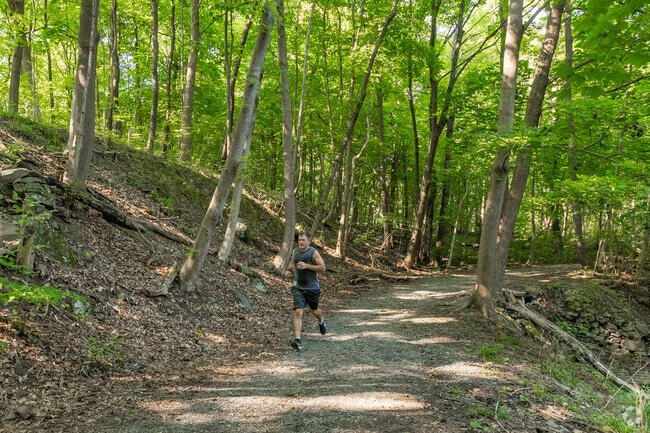 Some Glasco residents like going for a run in Falling Waters Preserve.