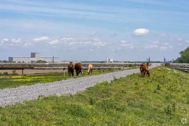 Blytheville is where manufacturing and agriculture go hand in hand.