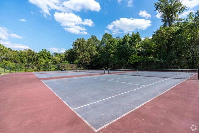 Serine Tennis Court tucked away behind homes in southeastern DC.