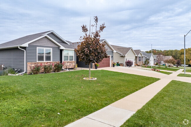A row of ranch-style homes in a post-war Mitchellville neighborhood.