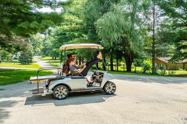 Golf carts are a common sight in Grand Detour, used for short trips around the neighborhood and beyond.