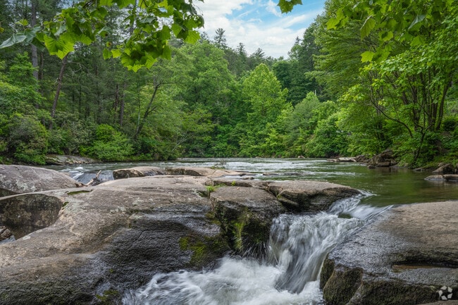 Trout fishing is a thrilling specialty along the scenic Toccoa River in Blue Ridge, offering an unforgettable angling experience.