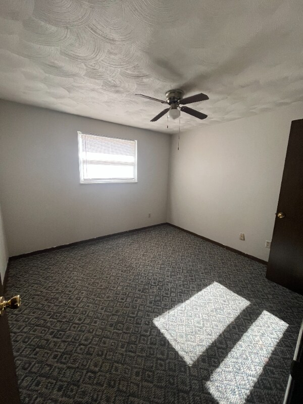 509 E Staat St, Fortville, IN 46040 - photo 5