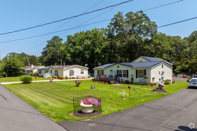 Ranch-style homes in Magnolia offer spacious lawns and peaceful surroundings ideal for suburban living.