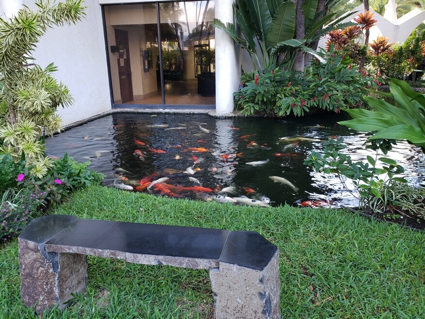 Relaxing Koi ponds with benches throughout gardens
