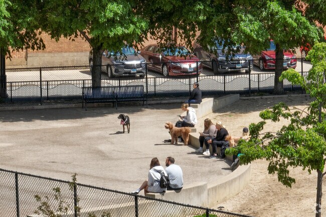 The Dog Park at Ward A. Montgomery Park is perfect for your furry friends!