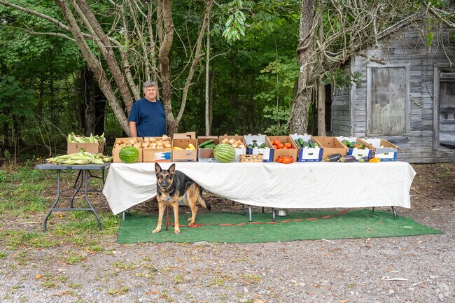 Stop by the farmers' corner on RT 117 for local goods in Ledyard, CT.