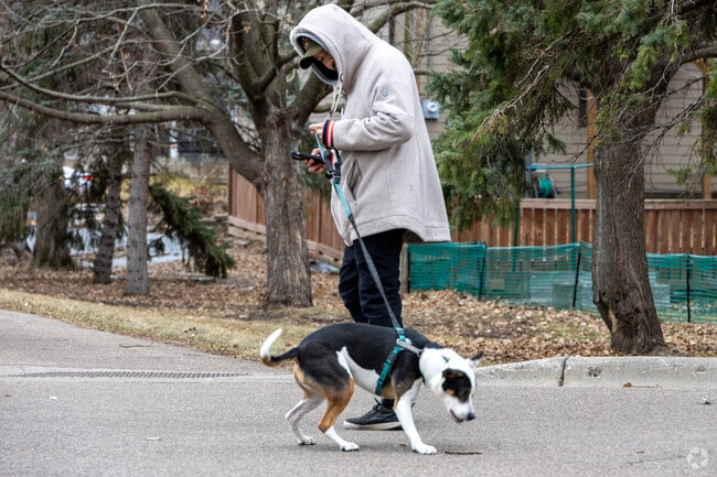 Dog walkers love the neighborhood parks in Bronx Park.