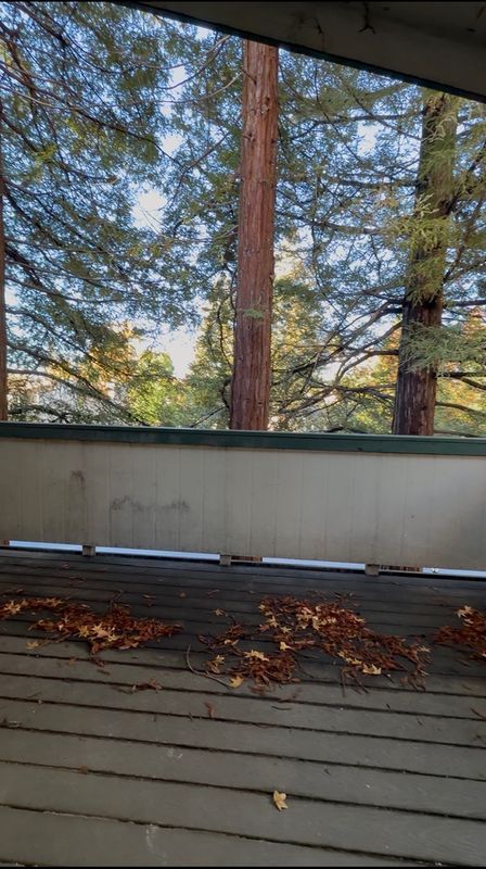 5425 Concord Blvd, Concord, CA 94521 - photo 2