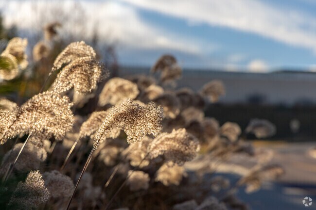 Summit Ridge at West Meadows blends luxury living along the foothills.