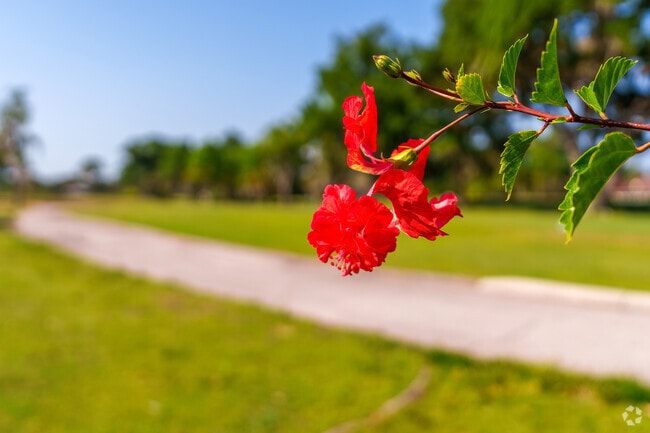 Beautiful flowers border the perimeter of the Wedgefield Golf Course.