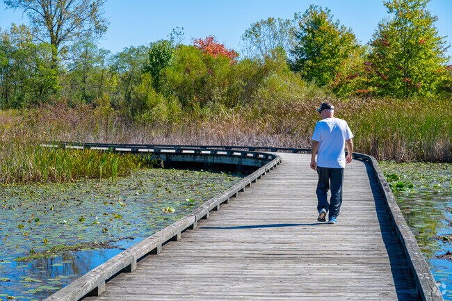 You might spot a frog in the lily pads in West Carmel's West Park.