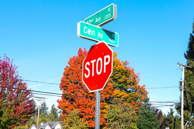 Cain Road: A peaceful neighborhood with tree-lined streets, friendly faces, and community charm.