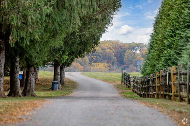 Over 180 acres of mixed-use trails are in Okehocking Preserve for Willistown residents to enjoy.