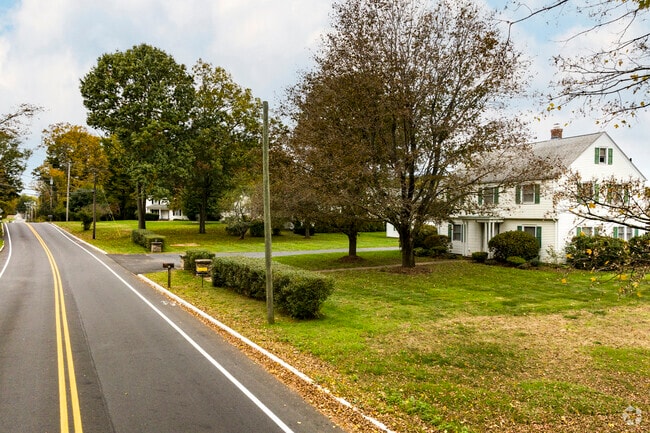 Hills St. homes offer plenty of property on dense tree lined streets