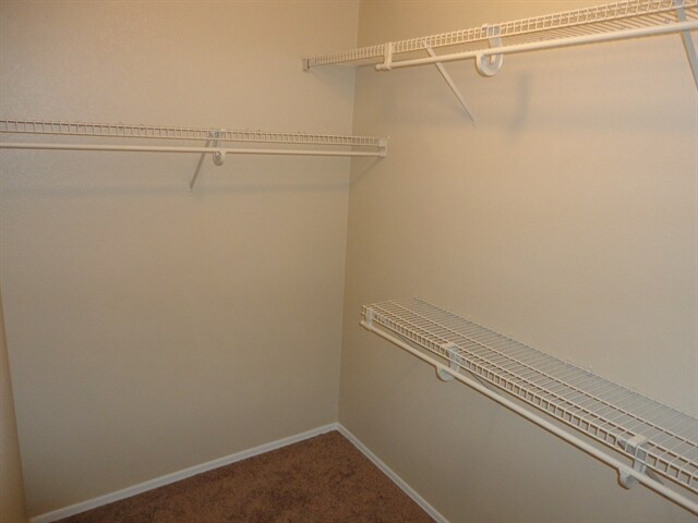 10830 E Carol Ave, Mesa, AZ 85208 - photo 6