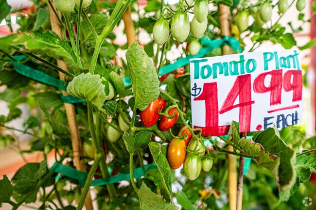 Rorabeck's Plants & Produce in Willoughby offers fresh, locally grown produce.