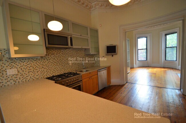 500 Columbus Ave unit 3, Boston, MA 02118 - photo 5