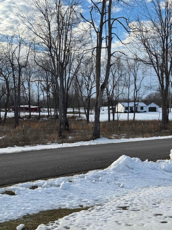 250 Buck Knobs Rd, Ekron, KY 40117